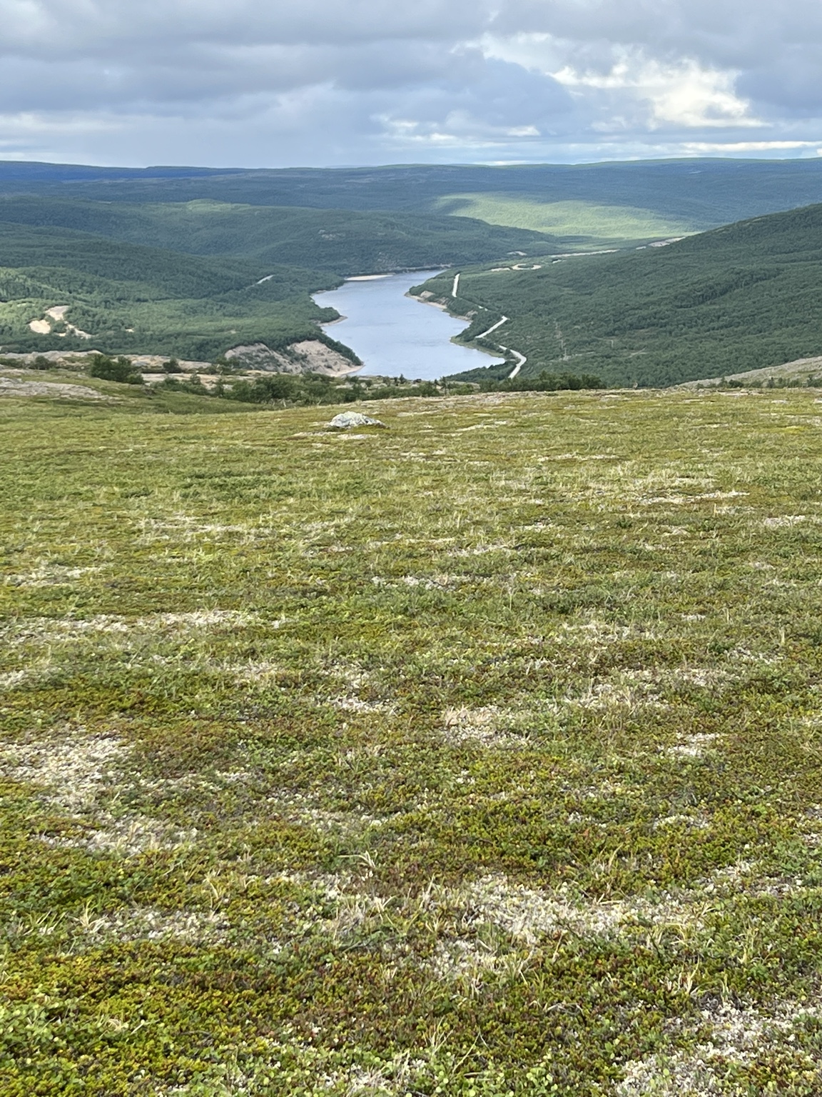 Tunturimaisema, jonka laaksossa näkyy järvi ja pohjoisen metsää